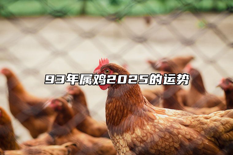 93年属鸡2025的运势 93年属鸡2023年运势及运程