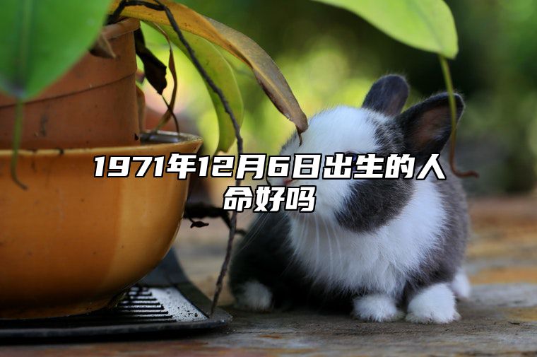 1971年12月6日出生的人命好吗 不同时辰八字分析