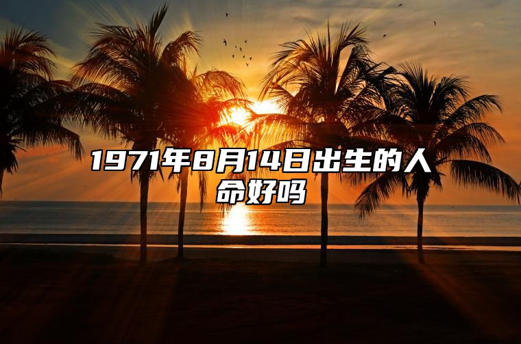 1971年8月14日出生的人命好吗 八字五行查询揭示命运