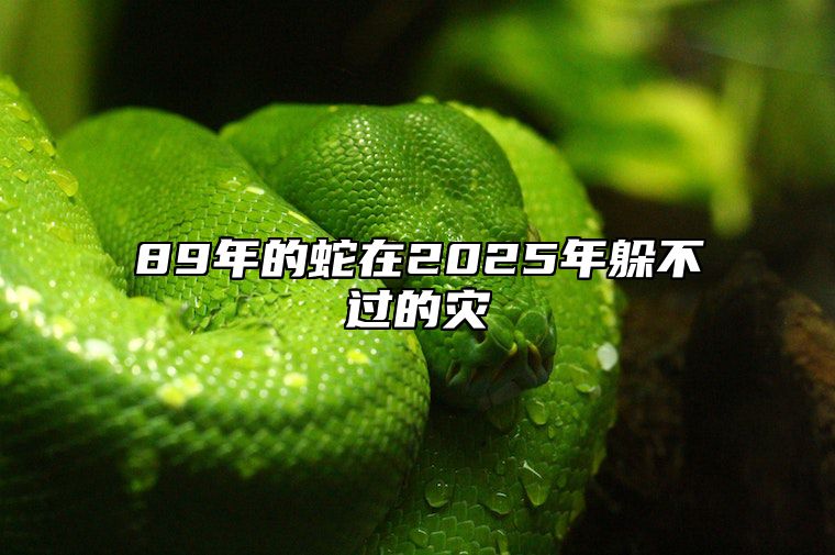 89年的蛇在2025年躲不过的灾 