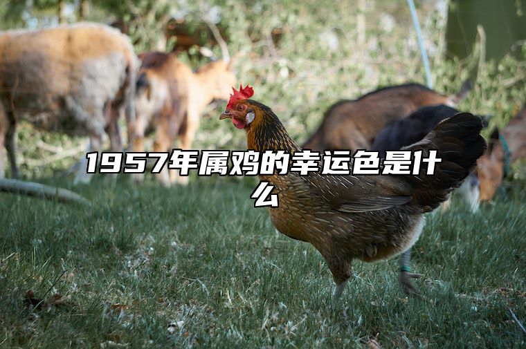 1957年属鸡的幸运色是什么 57年属鸡的幸运数和颜色