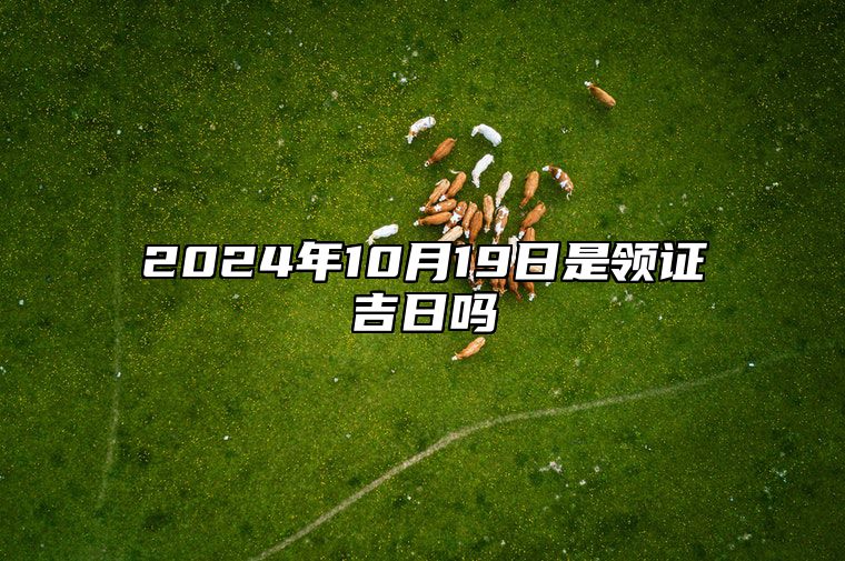 2024年10月19日是领证吉日吗 哪一天吉利