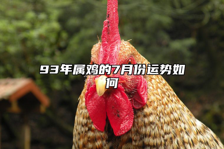 93年属鸡的7月份运势如何 93年7月属鸡的姻缘在哪年