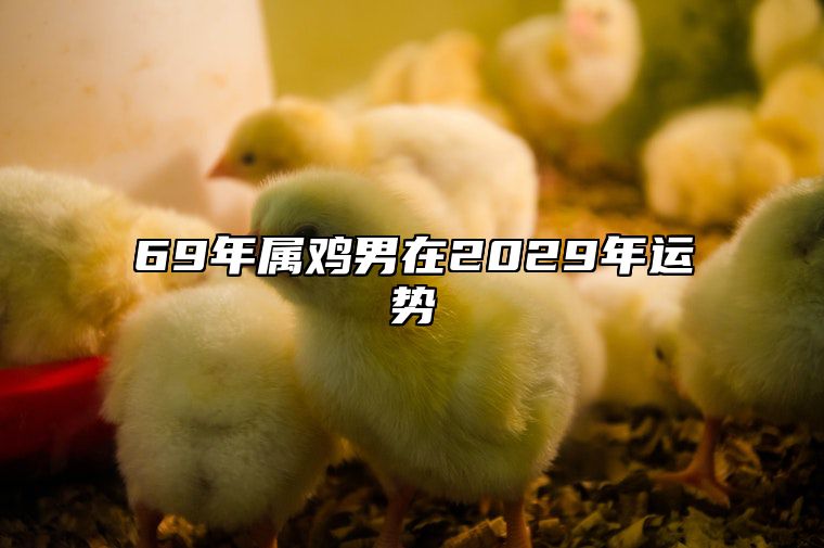 69年属鸡男在2029年运势 69年属鸡男2022年运气2022年2021年运势运程