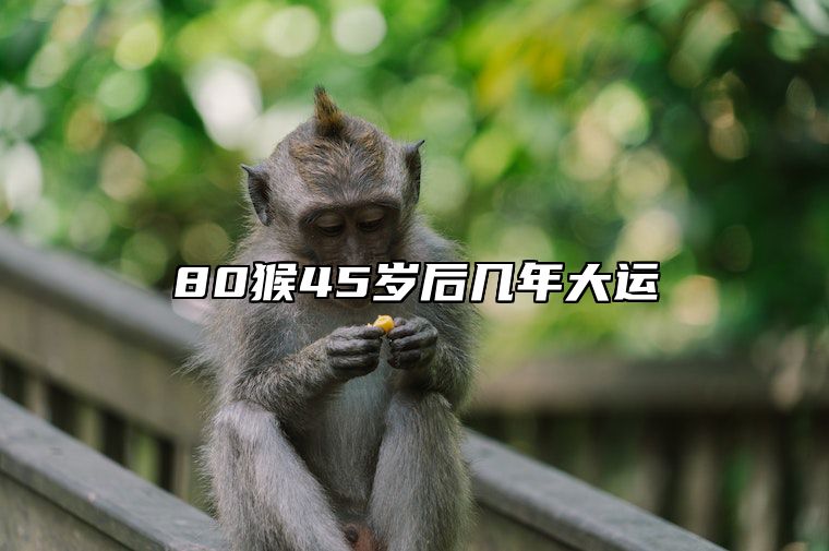 80猴45岁后几年大运 80年猴40岁后十年大运运程