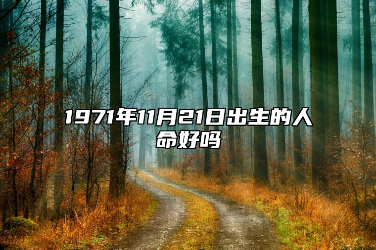 1971年11月21日出生的人命好吗 生辰八字分析