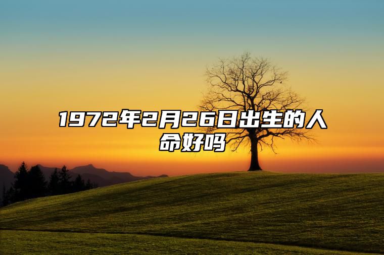 1972年2月26日出生的人命好吗 生辰八字、事业财运解析