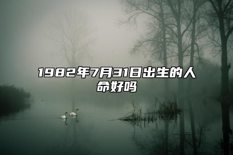 1982年7月31日出生的人命好吗 不同时辰八字分析