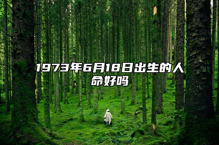 1973年6月18日出生的人命好吗 此日生辰八字如何