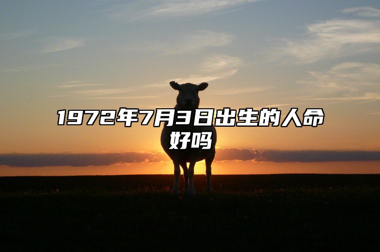 1972年7月3日出生的人命好吗 生辰八字分析五行缺什么