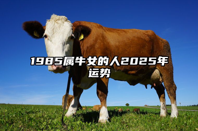 1985属牛女的人2025年运势 1985属牛女的人2025年运势及运程大家找算命网