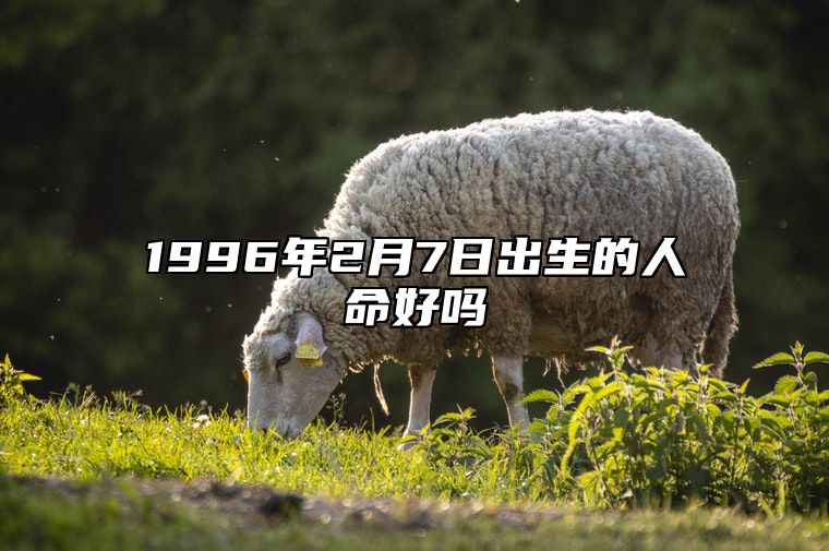 1996年2月7日出生的人命好吗 五行缺什么命运好不好