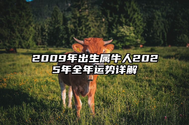 2009年出生属牛人2025年全年运势详解