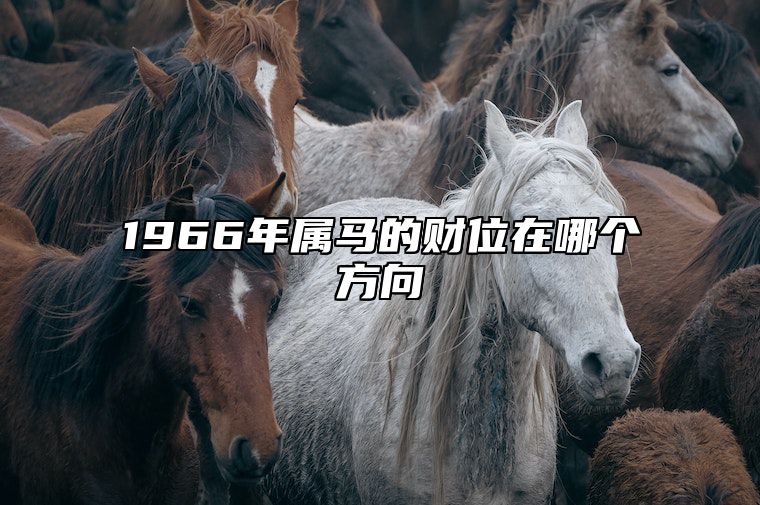 1966年属马的财位在哪个方向 1966年的马财运如何