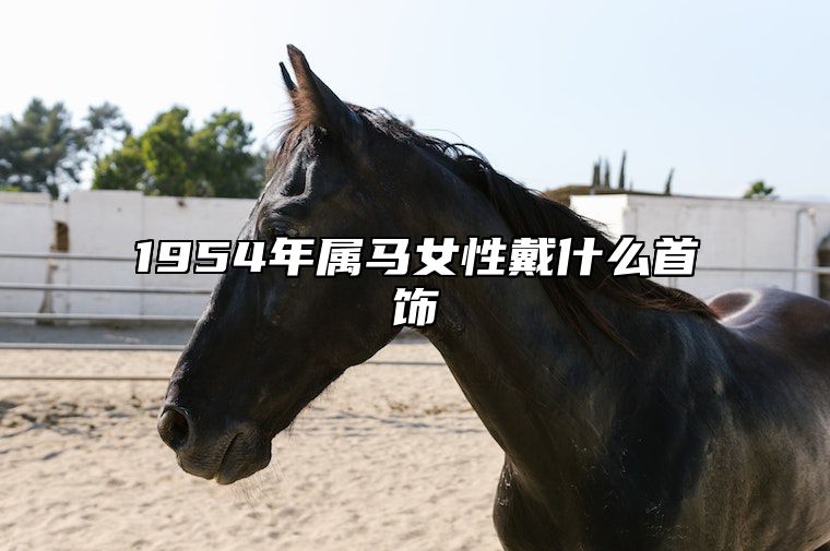 1954年属马女性戴什么首饰 1954年属马女性戴什么首饰最好