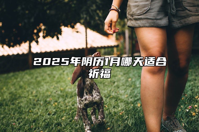 2025年阴历1月哪天适合祈福 是不是祈福的黄道吉日