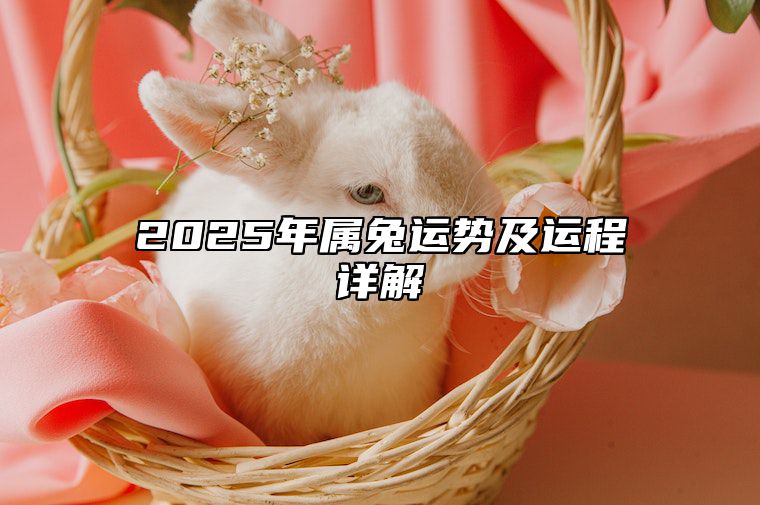 2025年属兔运势及运程详解 2025年属兔运势及运程详解大全