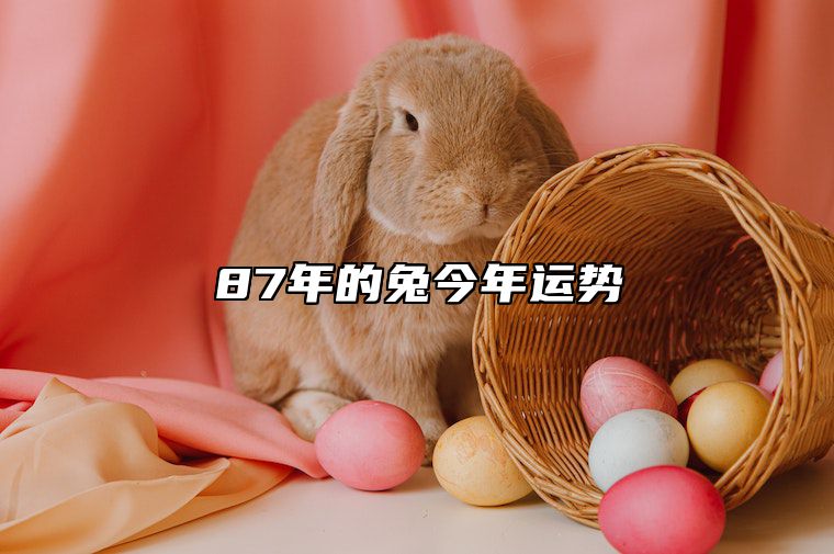 87年的兔今年运势 87年的兔今年运势好吗