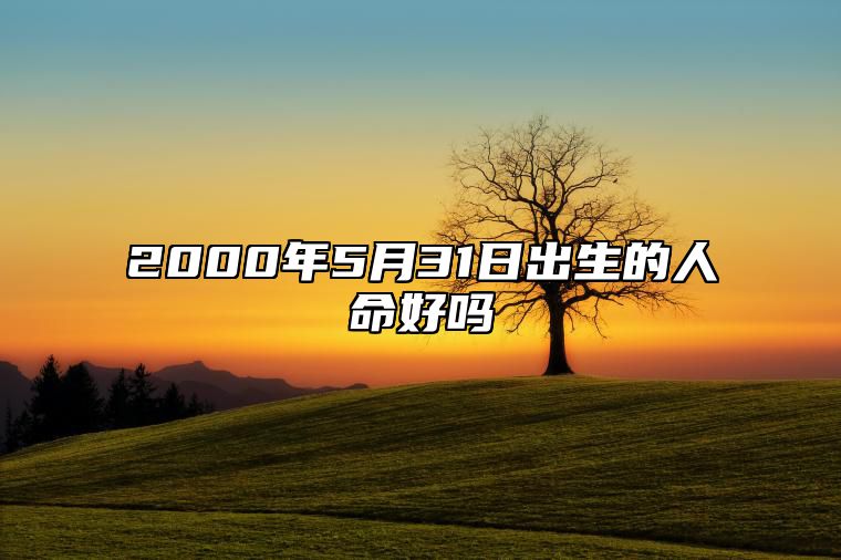 2000年5月31日出生的人命好吗 事业人生发展