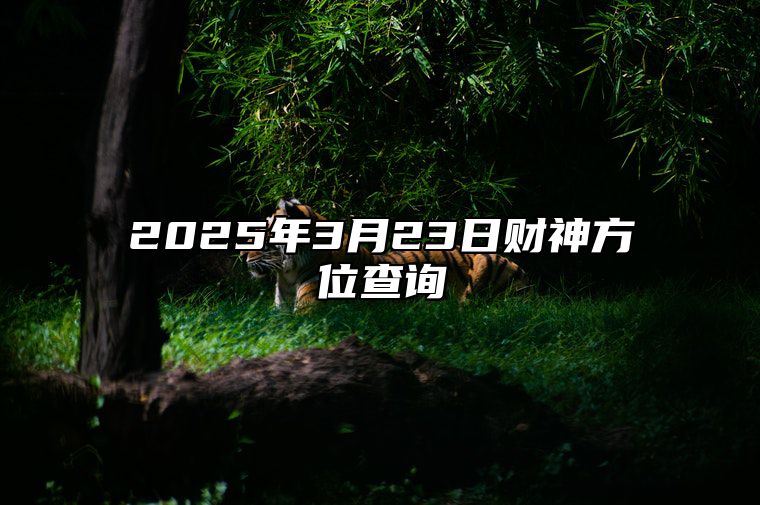 2025年3月23日财神方位查询 适合吗？