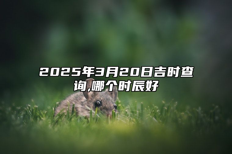 2025年3月20日吉时查询,哪个时辰好 老黄历查询