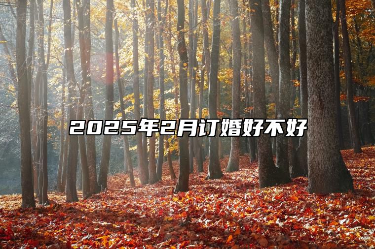 2025年2月订婚好不好 是订婚的吉日吗？