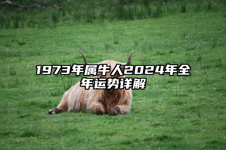 1973年属牛人2024年全年运势详解