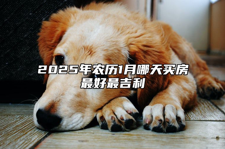 2025年农历1月哪天买房最好最吉利 哪一天是买房的好日子