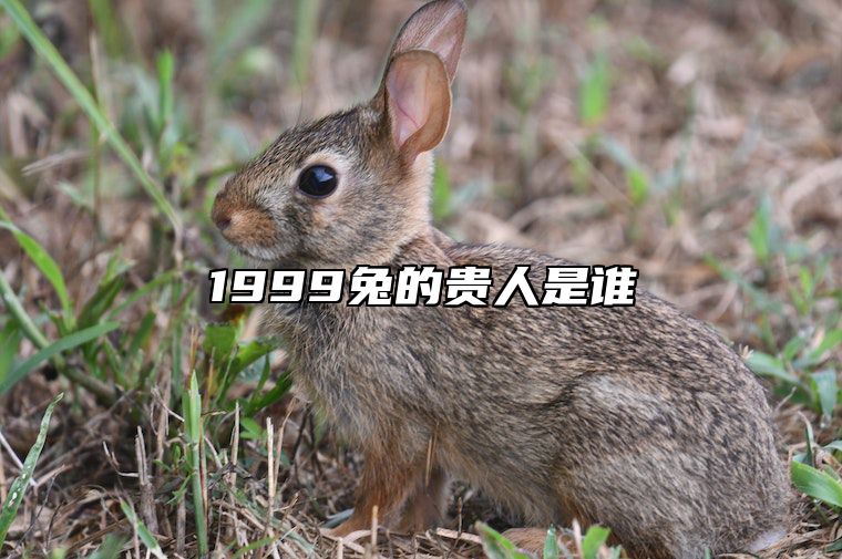 1999兔的贵人是谁 1999年属兔事业上的贵人