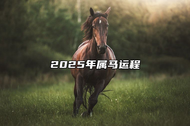 2025年属马运程 2025年属马运程麦玲玲