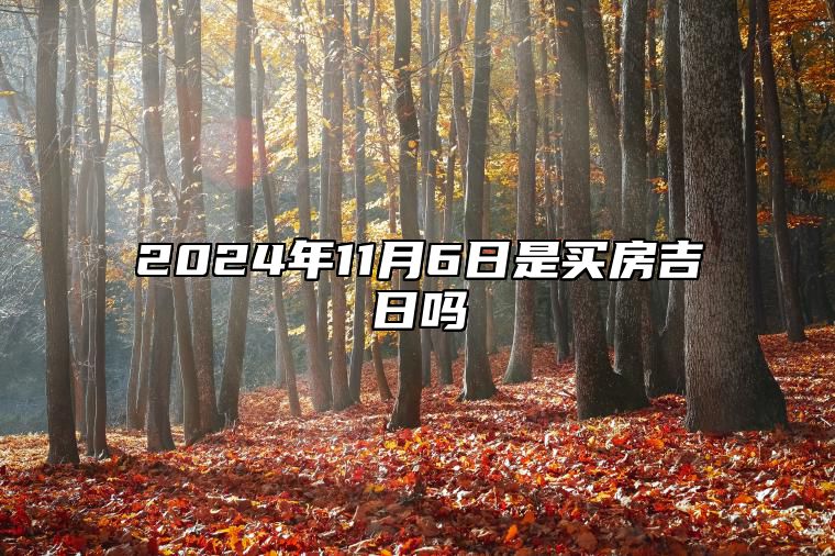 2024年11月6日是买房吉日吗 今日适合吗