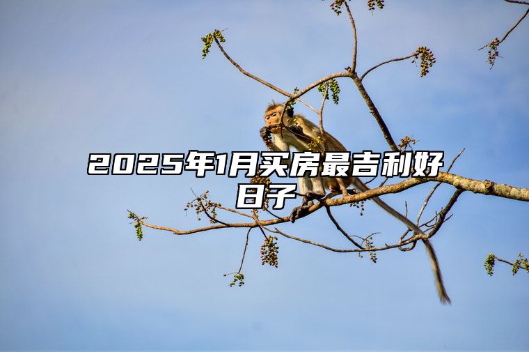 2025年1月买房最吉利好日子 哪一天买房吉利