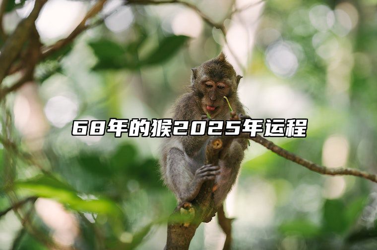 68年的猴2025年运程 68年属猴人202年运势