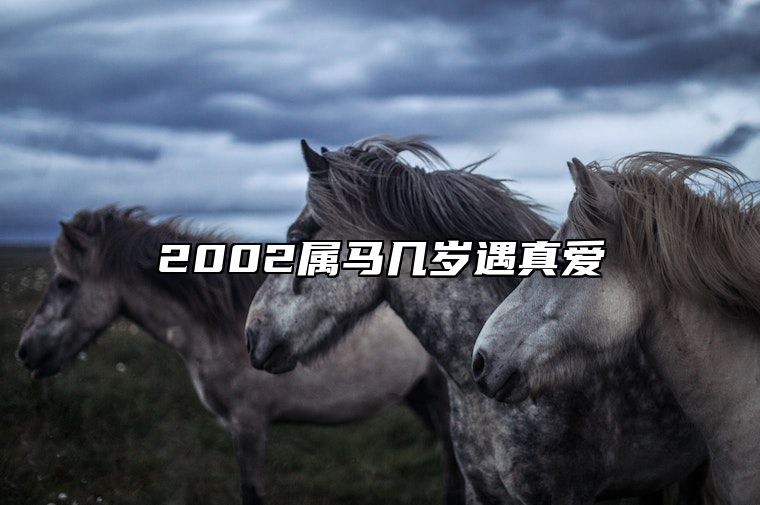 2002属马几岁遇真爱 属马2002年几岁