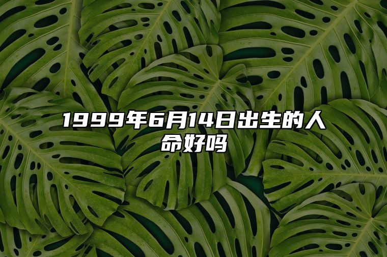 1999年6月14日出生的人命好吗 生辰八字运势查询