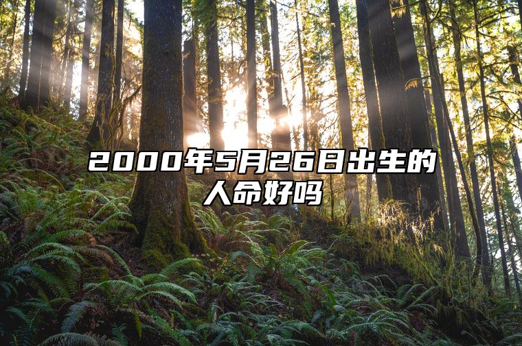 2000年5月26日出生的人命好吗 生辰八字、事业财运解析