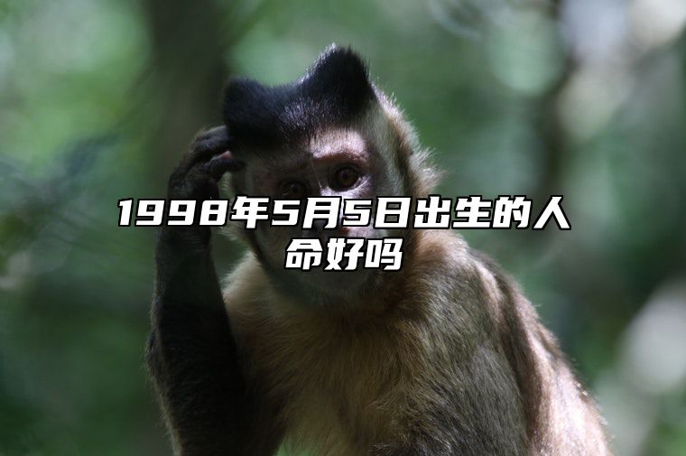 1998年5月5日出生的人命好吗 不同时辰八字运势详解