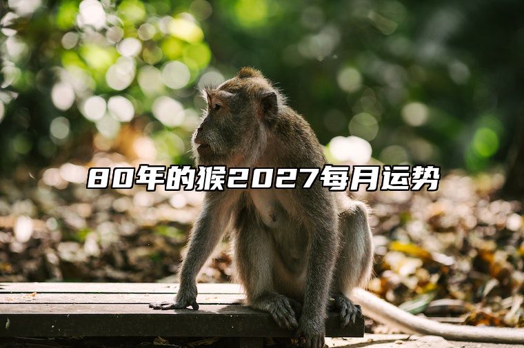 80年的猴2027每月运势 80年猴2022年每月运势