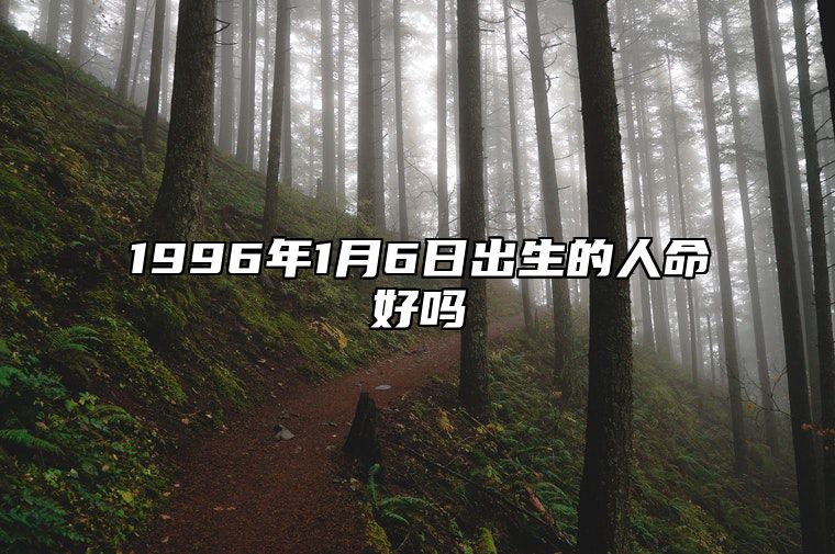 1996年1月6日出生的人命好吗 事业财运_发展_婚姻详解