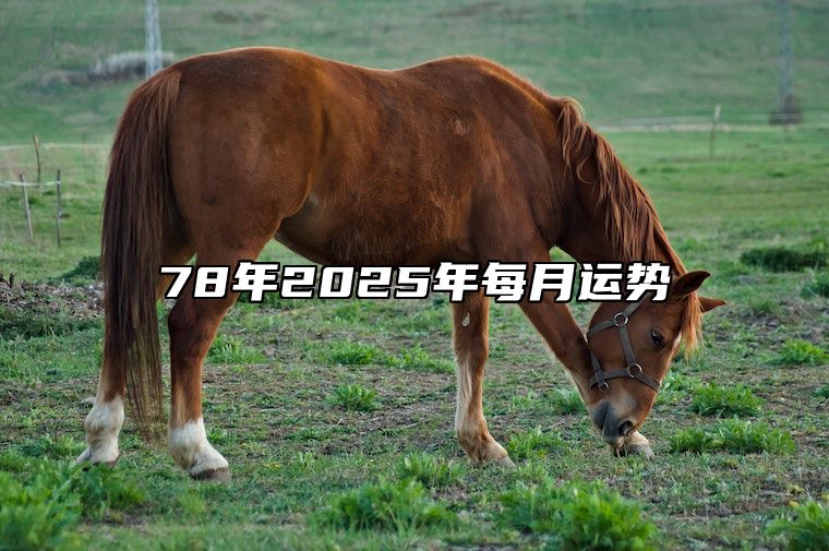 78年2025年每月运势 78年属马人2025年运势及运程