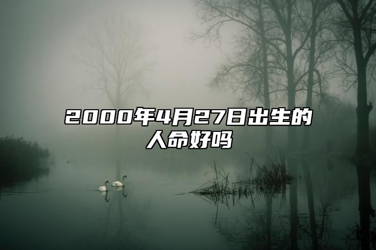 2000年4月27日出生的人命好吗 今日不同时辰生辰八字解析