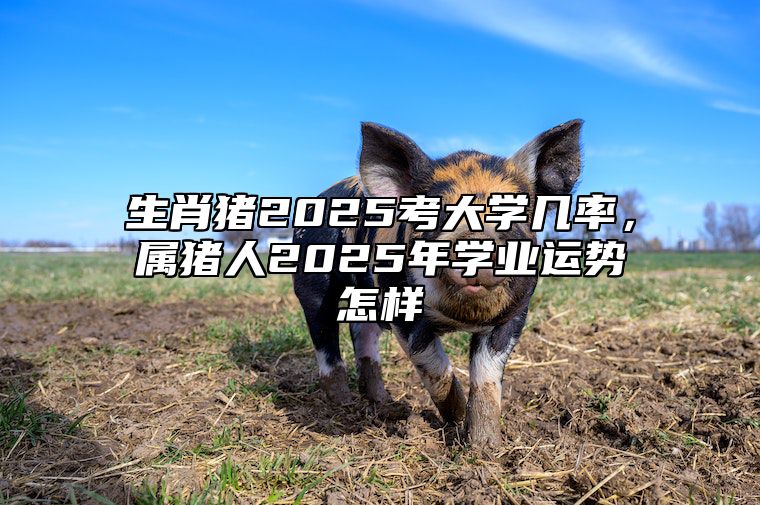 生肖猪2025考大学几率，属猪人2025年学业运势怎样 