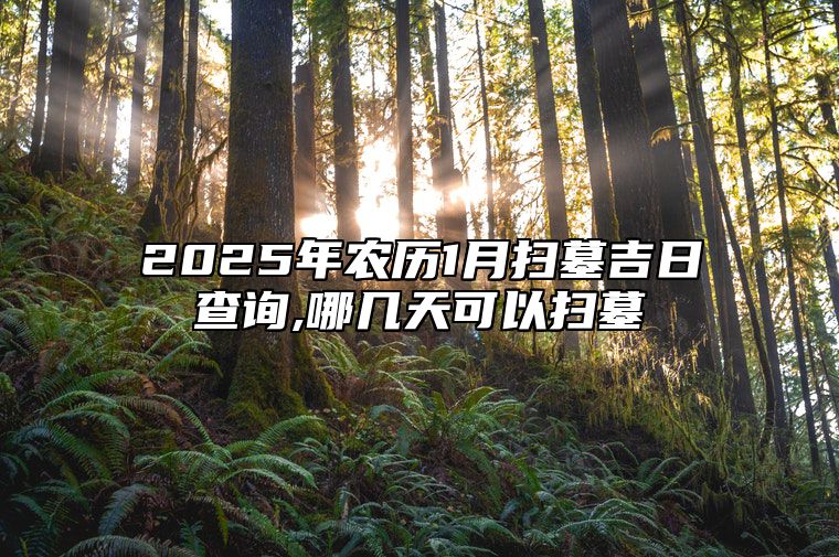 2025年农历1月扫墓吉日查询,哪几天可以扫墓 适合扫墓的黄道吉日