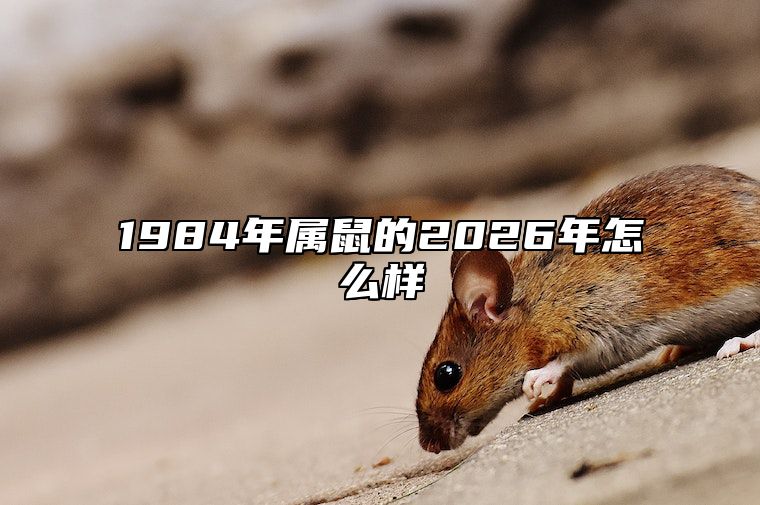 1984年属鼠的2026年怎么样 1984年属鼠的2023年全年运势如何