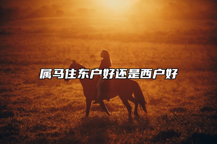 属马住东户好还是西户好 属马一生最旺楼层