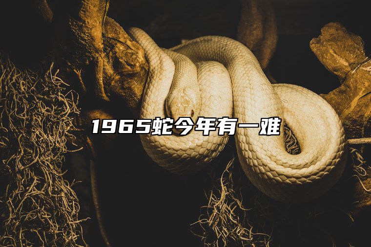 1965蛇今年有一难 77年属蛇一生三大难