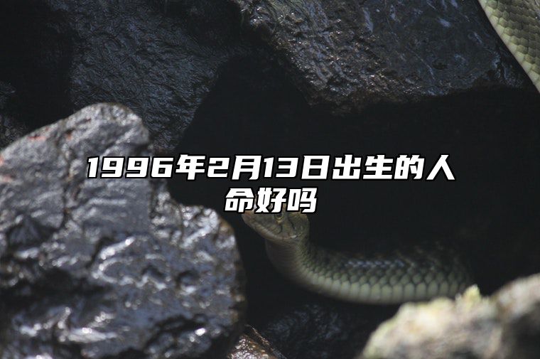 1996年2月13日出生的人命好吗 八字五行查询揭示命运