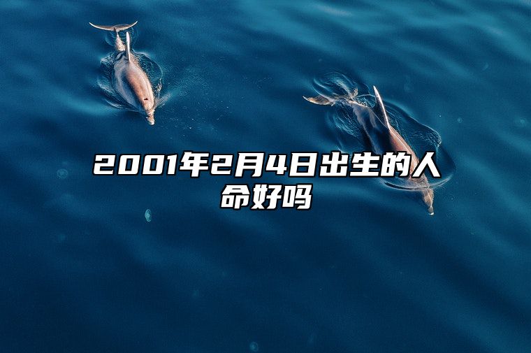 2001年2月4日出生的人命好吗 今日生辰八字查询