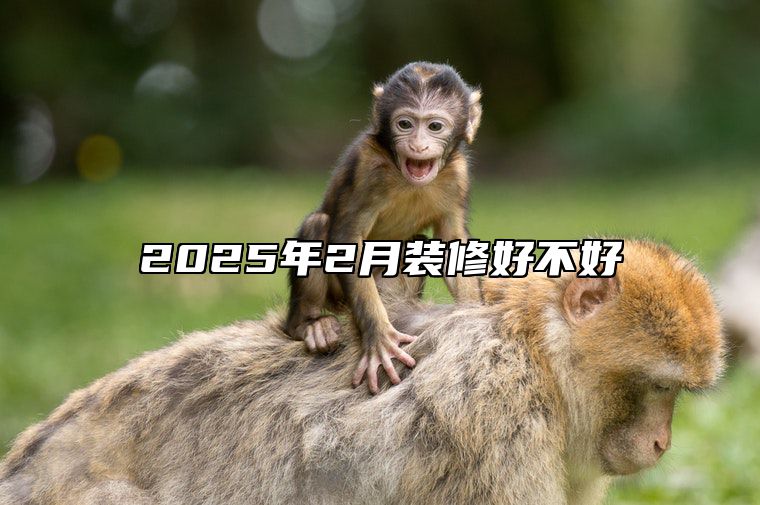 2025年2月装修好不好 是不是装修的黄道吉日