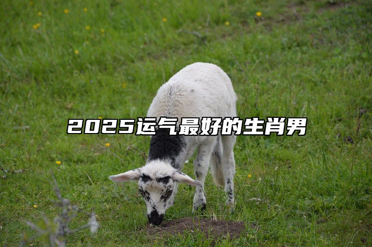 2025运气最好的生肖男 2025年运气好的生肖